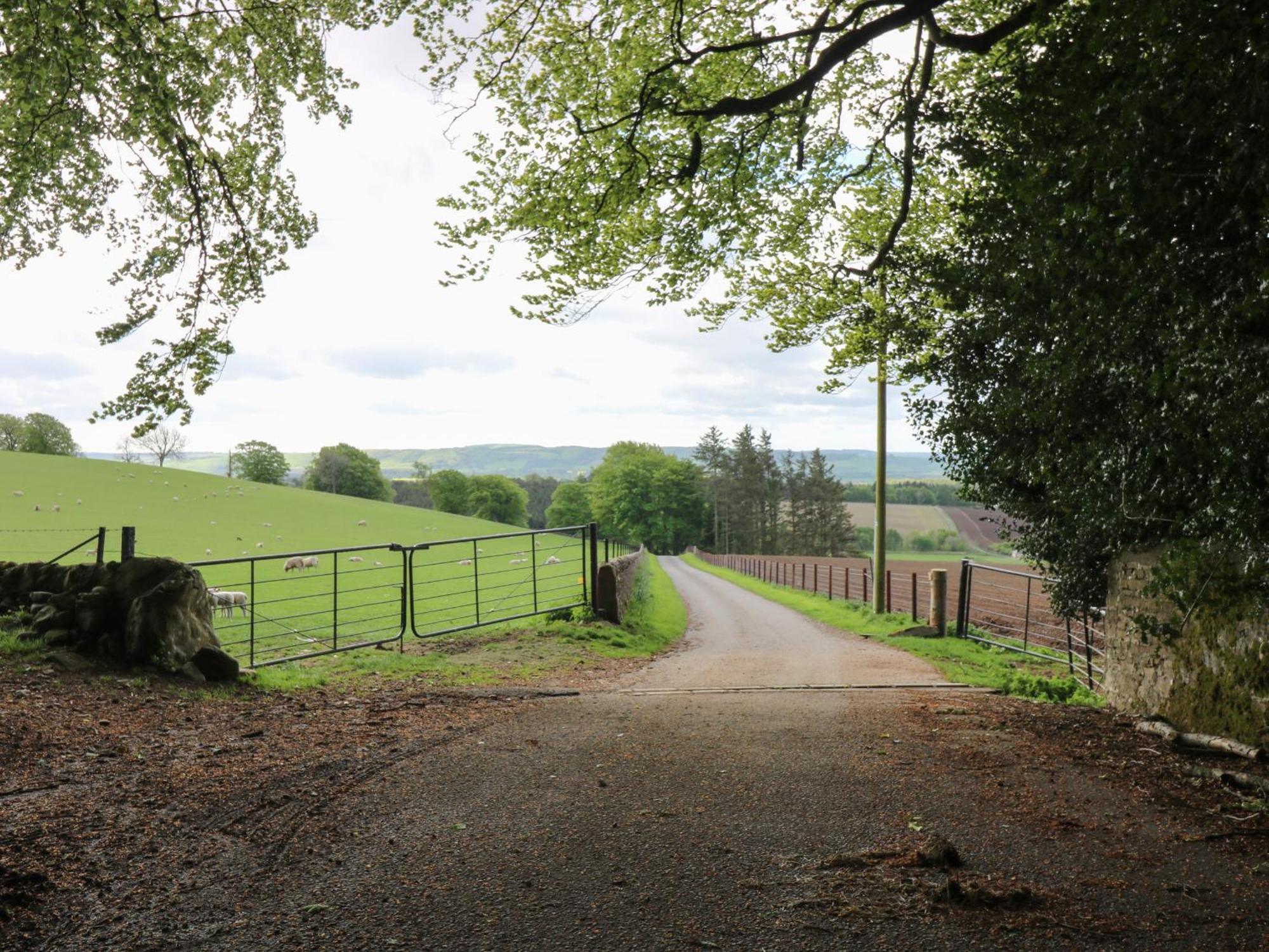 North Lodge Forfar Buitenkant foto